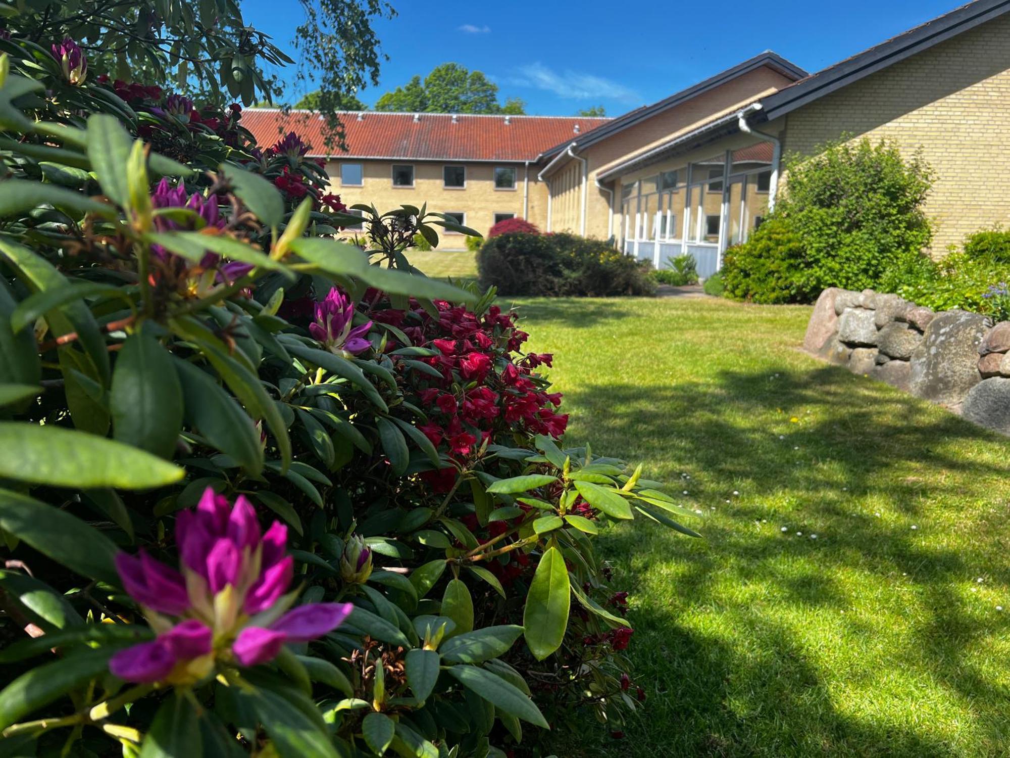 Emmaus Hostel Haslev Exteriér fotografie