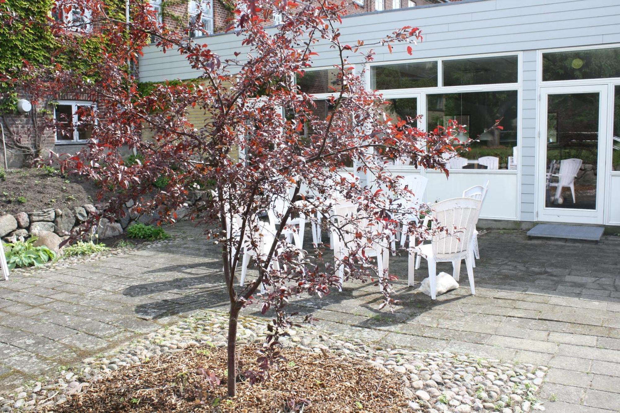 Emmaus Hostel Haslev Exteriér fotografie